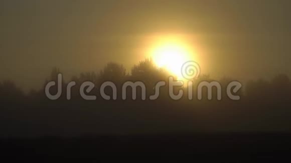 乡村雾状日出自然的乡村景象一片温暖阳光的田野夏日黎明的概念视频的预览图