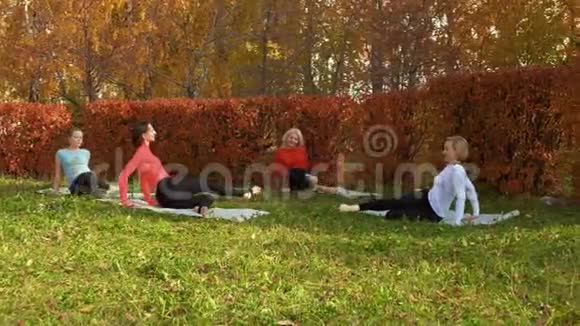 秋季公园瑜伽地毯上的女性团体训练伸展运动健身女子户外运动训练视频的预览图