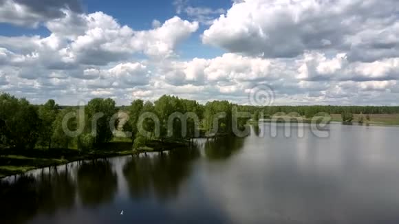 奇妙的蓝色河流在一望无际的田野附近的森林河岸视频的预览图