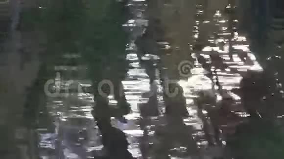 抽象河水和树影背景视频的预览图