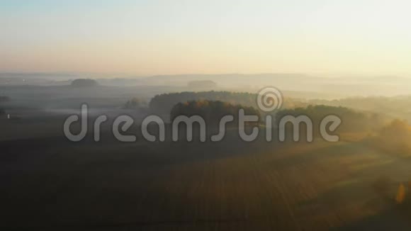 无人机在辽阔的大气田上空飞行秋天的森林笼罩着薄雾走向雾蒙蒙的日落天际线全景视频的预览图