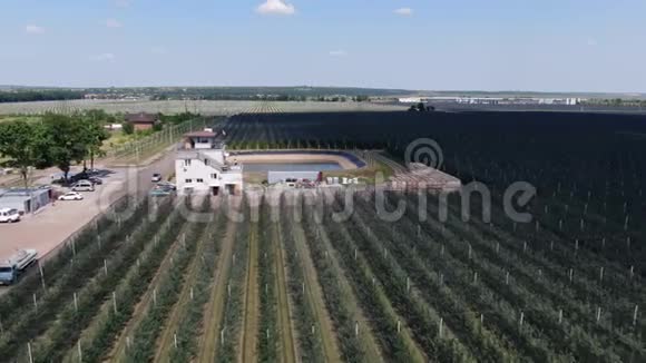 苹果园和一个大水库的空中镜头4k视频的预览图