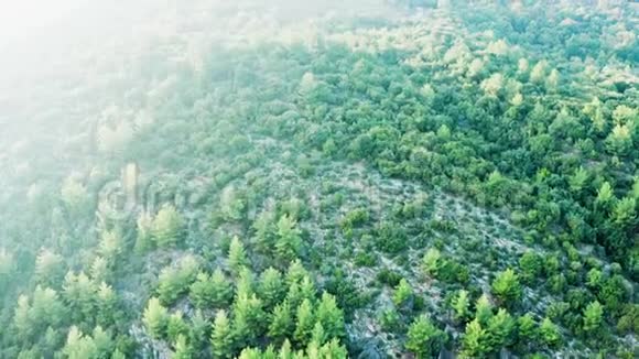在岩石山上飞过美丽的绿色森林视频的预览图