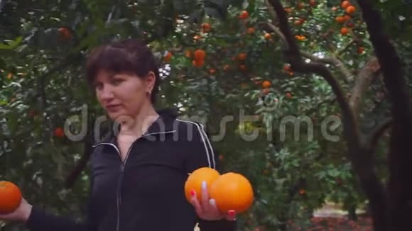女孩手里拿着橘子在橘子园里视频的预览图