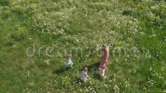 空中年轻的金发嬉皮士妈妈和她的小女孩在公园蒲公英球场散步和跑步视频的预览图