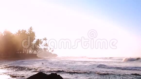 泡沫的海浪反射明亮的阳光视频的预览图