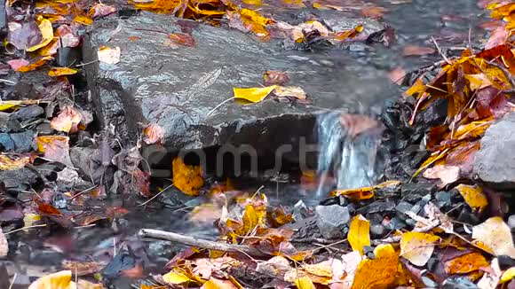 小溪在石头和黄色之间流淌视频的预览图