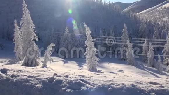 冬天山上的霜冻冰雪花在阳光下闪闪发光白雪中的落叶树视频的预览图