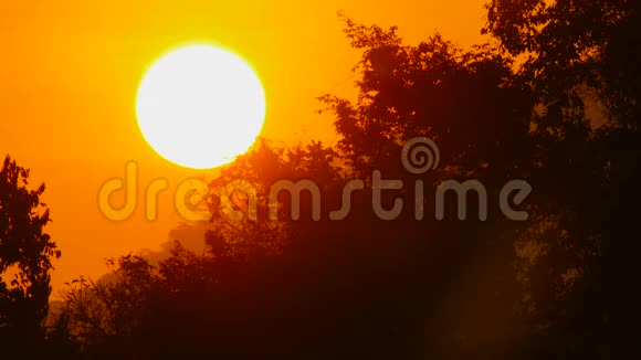 橙色天空中的日出太阳视频的预览图