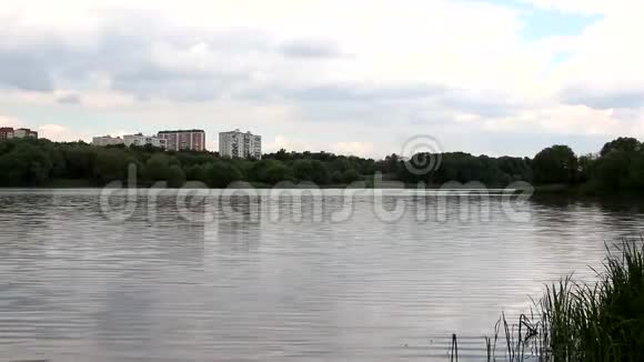 夏天的池塘你可以看到远处的城市视频的预览图