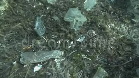 塑料污染很多塑料垃圾底部覆盖藻类顶部景观海底塑料瓶袋子和盘子视频的预览图