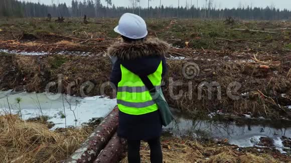 冬季雨天砍伐现场女林业检查员视频的预览图