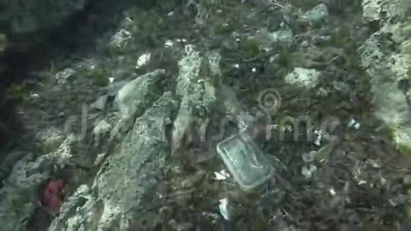 塑料污染很多塑料垃圾底部覆盖藻类顶部景观海底塑料瓶袋子和盘子视频的预览图