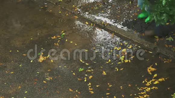 雨天路面上的水坑秋天人们在雨中行走视频的预览图