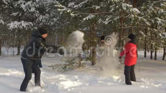 冬天松树林打雪仗的家庭视频的预览图
