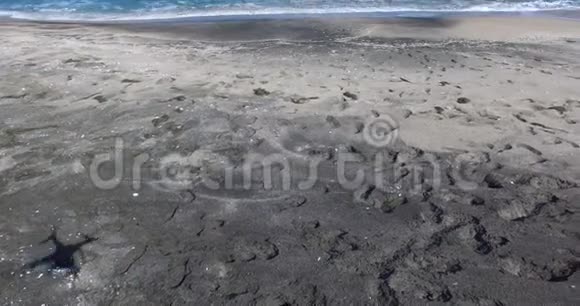 保加利亚波莫里海滩上的人类脚印视频的预览图