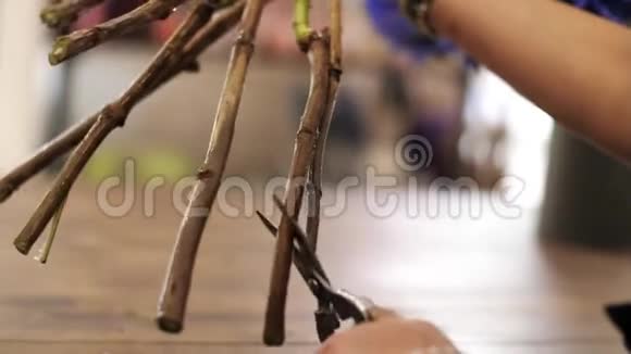 女人手用剪刀剪树枝的末端泼水视频的预览图