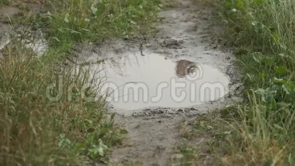 女孩穿着靴子在乡间小路上的雨坑里奔跑的特写视频的预览图