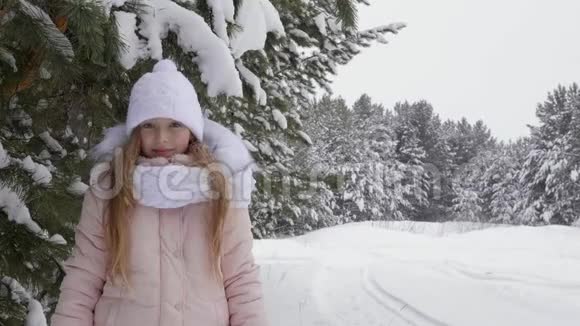 快乐的小女孩在冬天的森林里下雪了看着镜头笑着冬季森林背景共空间视频的预览图