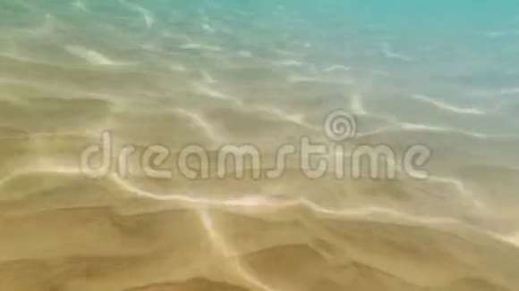 海底水下的沙堆湍流视频的预览图