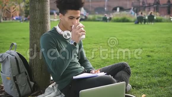 美丽严肃的非洲学生正在大学附近的公园工作视频的预览图