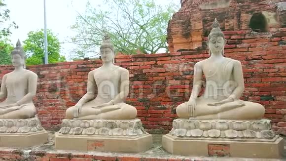 泰国AyutthayaWatYaiChaiMongkhon寺坐佛像视频的预览图
