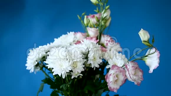 美丽的大束白菊花和石竹视频的预览图
