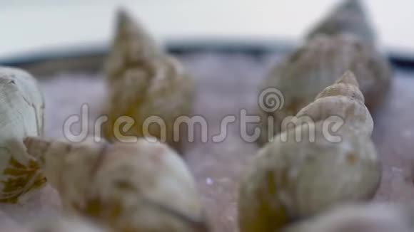 煮熟的蜗牛放在碗里的盐上视频的预览图