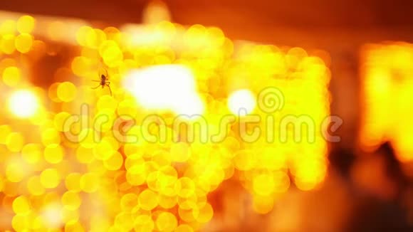 一只小蜘蛛在空中飞翔背景上的橙色灯光视频的预览图