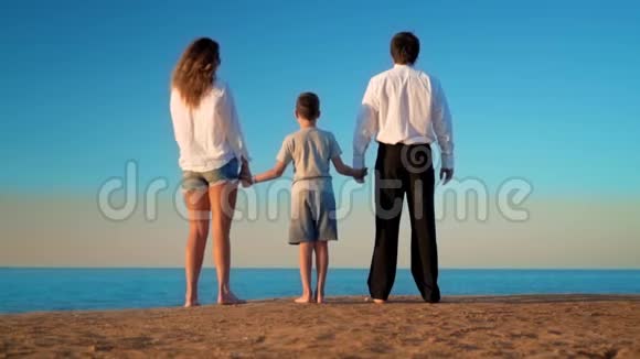 妈妈爸爸和儿子站在海滩上望着远处视频的预览图