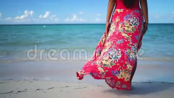 穿着热带服饰的快乐女人在加勒比海群岛享受暑假视频的预览图