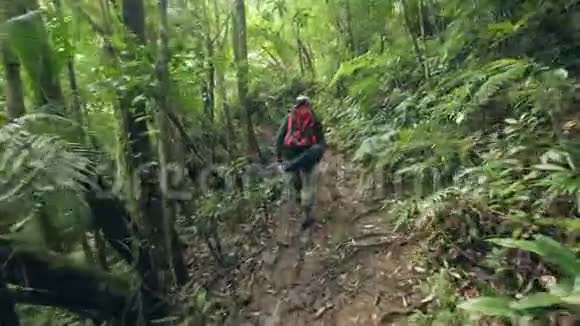 背着背包的旅游者在热带森林后景的小路上行走旅行的人在路上行走视频的预览图