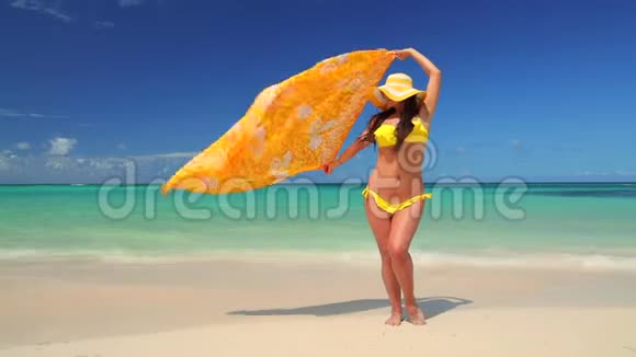 穿比基尼和帽子的女孩享受她的暑假加勒比异国海岛和海滩视频的预览图