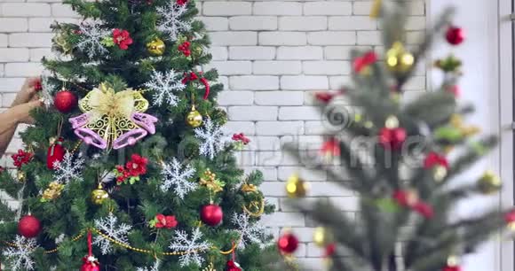 美丽的女人搭了一棵大圣诞树视频的预览图