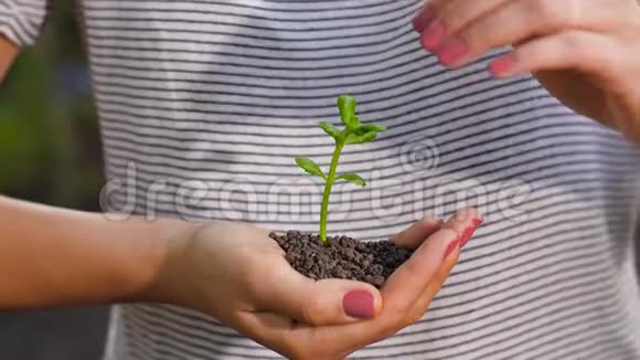 女护小植物理念视频的预览图