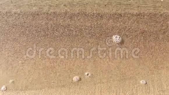 海浪带着白色泡沫在沙质的海岸上流动然后返回清澈的海水关闭视频视频的预览图