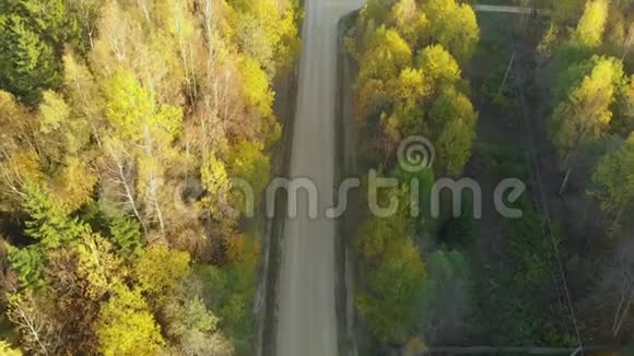秋天森林中乡村道路的鸟瞰图视频的预览图