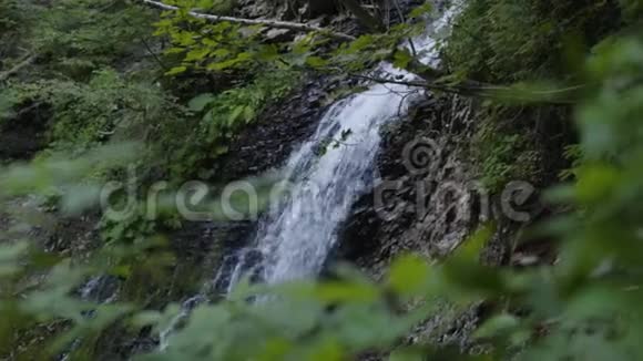 森林中巨大美丽的瀑布自然之美野生自然令人惊叹的风景水掉下来了视频的预览图