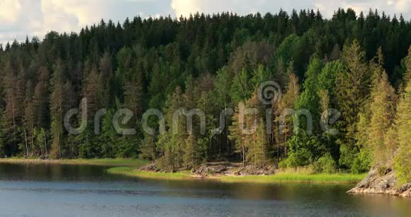 瑞典自然阿良SV托克斯福斯瑞典夏日的阳光明媚夏日的湖水或河流视频的预览图
