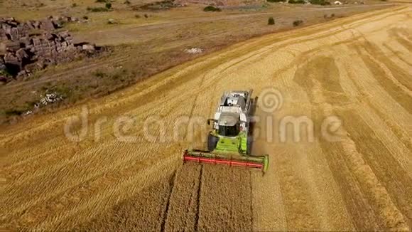鸟瞰结合收割机收集小麦在日落收获粮田作物季节视频的预览图
