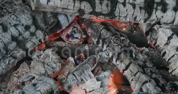 室外新西兰篝火燃烧的煤视频的预览图