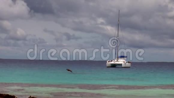 海洋里的白色双体船视频的预览图
