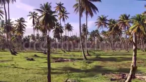 多米尼加共和国的普拉亚利蒙11岁视频的预览图