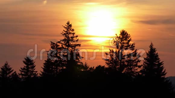 瑞士杉树上美丽的日落视频的预览图