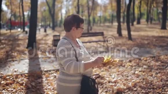 现在是秋天的时候秋天公园的一位老妇人从地板上收集落叶视频的预览图