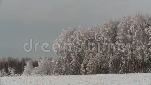 冬天的俄罗斯墓地视频的预览图