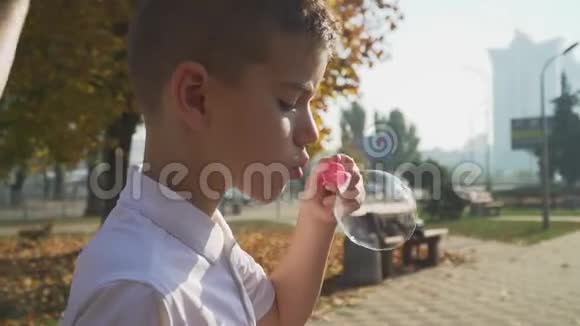 一个小男孩在公园里吹肥皂泡孩子们在户外玩耍视频的预览图