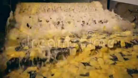 工作机器在一家食品厂里用油薯片油炸视频的预览图
