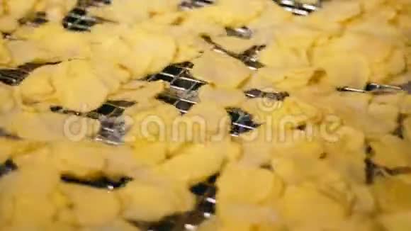 黄色薯片在一家食品厂的笼子里移动视频的预览图