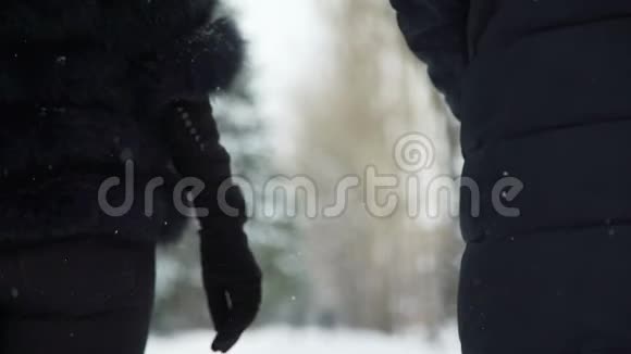 男人和女人在冬天牵手视频的预览图